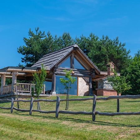 Holiday Home Ernest Zelezni With Hot Tub イヴァンチュナ・ゴリツァ エクステリア 写真